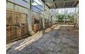 LINE_ALBUM_2024828_240829_3